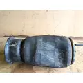 VOLVO VNL Air Bag (Safety) thumbnail 4