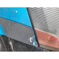 VOLVO VNL HOOD thumbnail 6