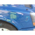 VOLVO VNL HOOD thumbnail 5