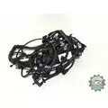 VOLVO  Engine Wiring Harness thumbnail 1