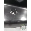 VOLVO  Hood thumbnail 6