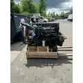 Volvo VED12D365 Engine Assembly thumbnail 9