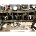 Volvo VED12 Engine Assembly thumbnail 13