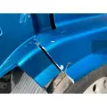 Volvo VNL Hood thumbnail 12