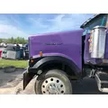 WESTERN STAR TRUCKS 4900 EX Hood thumbnail 1