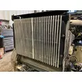 WESTERN STAR TRUCKS 4900 FA Grille thumbnail 1