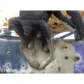 WESTERN STAR TRUCKS TRUCK Hydraulic PistonCylinder thumbnail 1