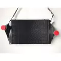 WESTERN STAR 4800 Charge Air Cooler (ATAAC) thumbnail 2