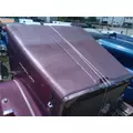 WESTERN STAR 4900EX 1997-2025 HOOD thumbnail 5