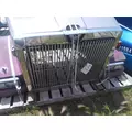 WESTERN STAR 4900EX 1997-2025 HOOD thumbnail 6