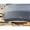 WESTERN STAR 4900FA Hood thumbnail 12