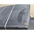 WESTERN STAR 4900FA Hood thumbnail 9