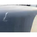 WESTERN STAR 4900FA Hood thumbnail 11