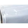 WESTERN STAR 4900FA Hood thumbnail 7