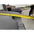 WESTERN STAR 4900FA Hood thumbnail 6