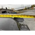 WESTERN STAR 4900FA Hood thumbnail 7