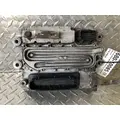 WESTERN STAR 4900 ECM (EGR Maintenance Reminder) thumbnail 1
