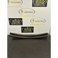 WESTERN STAR 4900 Fender thumbnail 3