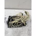 WESTERN STAR 4900 Fuse Box thumbnail 4