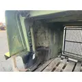 WESTERN STAR 4900 Hood thumbnail 11