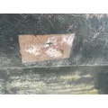 WESTERN STAR 4900 Hood thumbnail 13