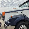 WESTERN STAR 4900 Hood thumbnail 1