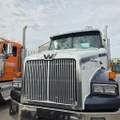 WESTERN STAR 4900 Hood thumbnail 2