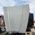 WESTERN STAR 4900 Hood thumbnail 20