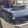 WESTERN STAR 4900 Hood thumbnail 7
