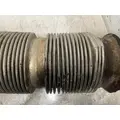 WESTERN STAR 4900 Muffler thumbnail 3