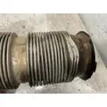 WESTERN STAR 4900 Muffler thumbnail 4