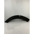 WESTERN STAR 49X FENDER EXTENSION thumbnail 1