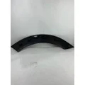 WESTERN STAR 49X FENDER EXTENSION thumbnail 3