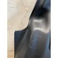 WESTERN STAR 5700 Fender Extension thumbnail 2