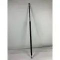 WESTERN STAR 5700 HOOD STRUT thumbnail 1