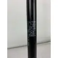WESTERN STAR 5700 HOOD STRUT thumbnail 4