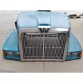 WESTERN STAR 5900 1992-2010 HOOD thumbnail 1