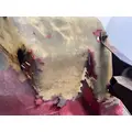 WESTERN STAR 5900 Fender Extension thumbnail 7
