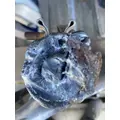 WESTERN STAR 5900 Fender Extension thumbnail 7