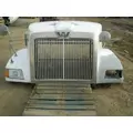 WESTERN STAR 5900 Hood thumbnail 9