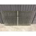 WESTERN STAR 6900 Grille thumbnail 1