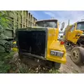 WESTERN STAR A17-15835-002 Hood thumbnail 3