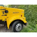 WESTERN STAR A17-15835-002 Hood thumbnail 4