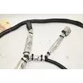 WESTERN STAR  Chassis Wiring Harness thumbnail 3