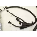 WESTERN STAR  Chassis Wiring Harness thumbnail 4