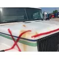 WHITE VOLVO WAH Hood thumbnail 13