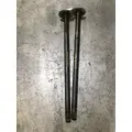 WORKHORSE P42 Axle Shaft thumbnail 1