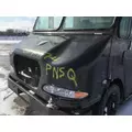 WORKHORSE W42 2005-2006 HOOD thumbnail 3