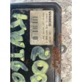 Wabco ABS-E ECM (Brake & ABS) thumbnail 2