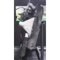 Western Star 4700 Cooling Assy. (Rad., Cond., ATAAC) thumbnail 4